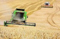 Эрдоган предложил Кремлю увеличить количество поставок зерна странам Африки