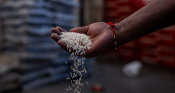 Азия на грани продовольственной катастрофы из-за растущих цен на рис