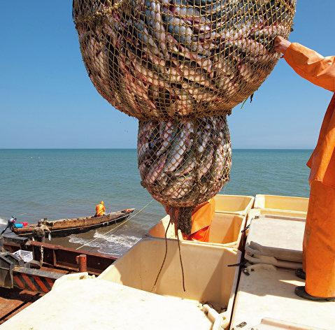 Посол Барбин: Россия не пожертвует интересами рыбаков ради соглашения с Фарерами