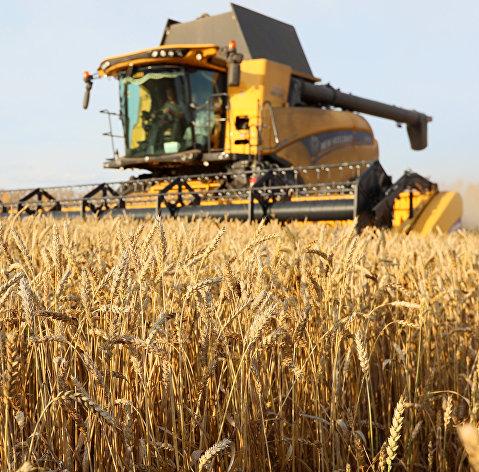 Пошлина на экспорт пшеницы с 21 февраля снизится до 3952,9 руб за тонну