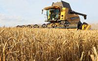 Пошлина на экспорт пшеницы с 21 февраля снизится до 3952,9 руб за тонну