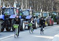FT: фермеры возмутились финансированием украинского куриного магната