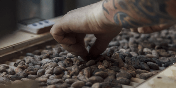 Цены на какао снизились на 11% после трехдневного ралли